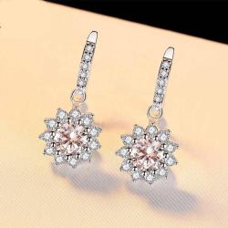 High Quality 925 Silver 1 Carat Moissanite Diamond Earrings